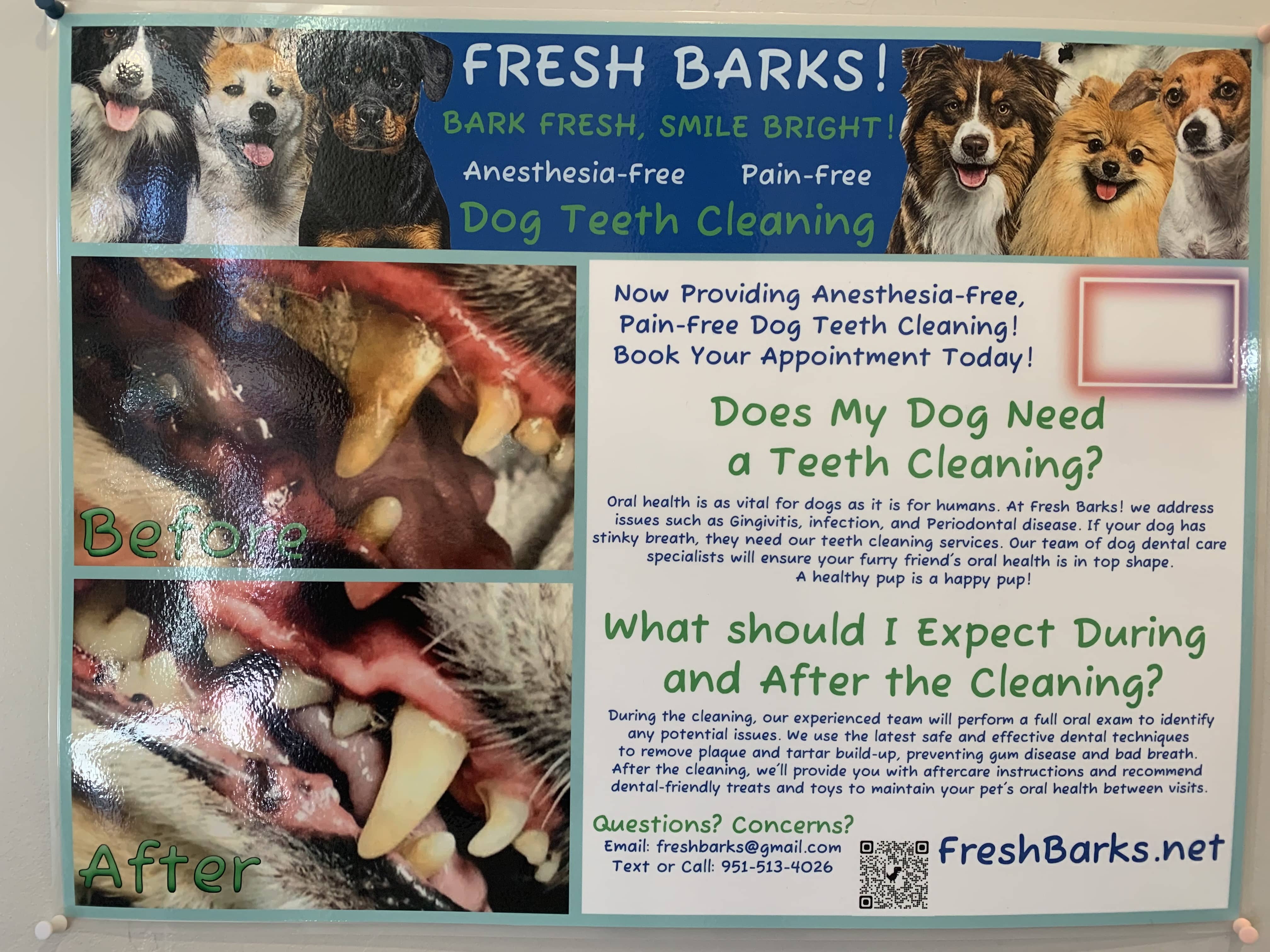 Fresh Barks Dog Teeth Cleaning Fresh Barks Dog Teeth Cleaning